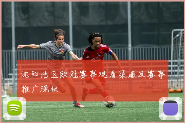 沈阳地区欧冠赛事观看渠道及赛事推广现状