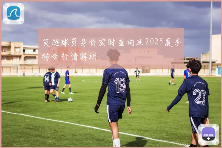 英超球员身价实时查询及2025夏季转会行情解析