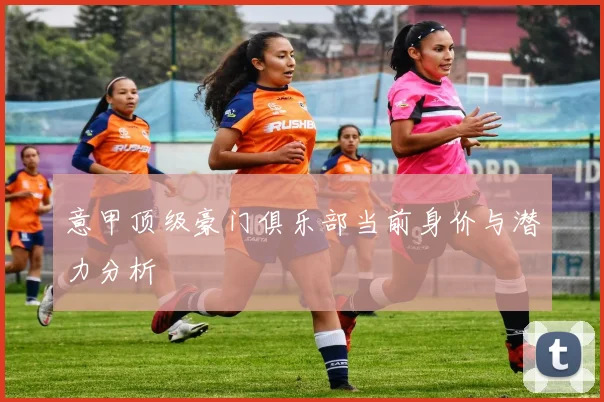 意甲顶级豪门俱乐部当前身价与潜力分析