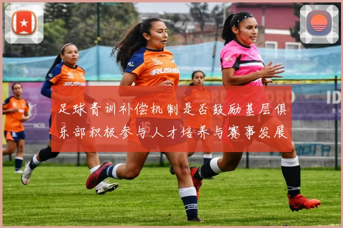 足球青训补偿机制是否鼓励基层俱乐部积极参与人才培养与赛事发展