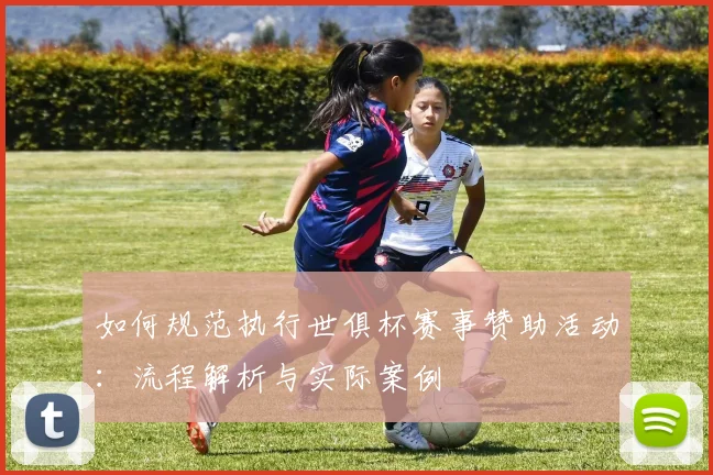 如何规范执行世俱杯赛事赞助活动：流程解析与实际案例