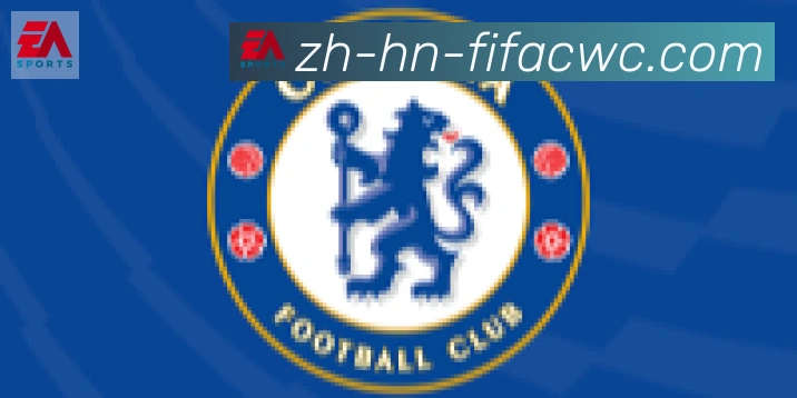 世界杯在线观看合作伙伴