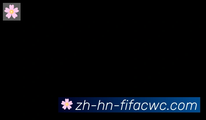 世界杯在线观看合作伙伴
