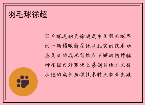 羽毛球徐超