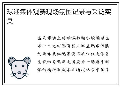 球迷集体观赛现场氛围记录与采访实录